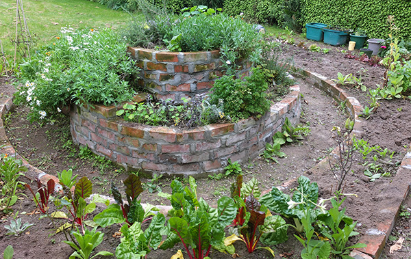  With what we call Silver Beet in the vegetable garden. 