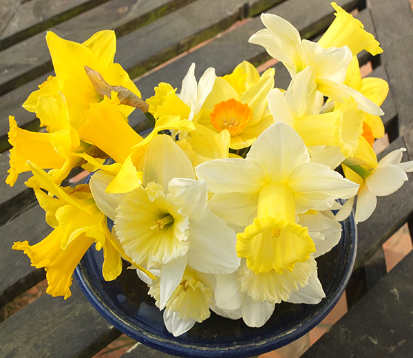  On the patio table. 