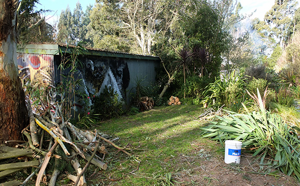  One large leaning pine branch still needs removing. 