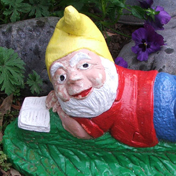  One of my gnomes. 