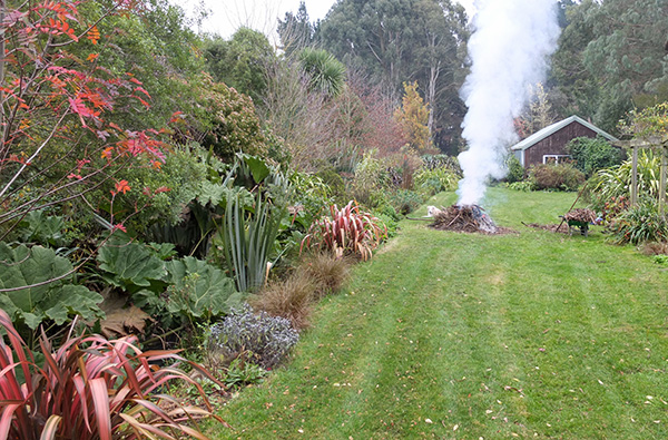  Look how colourful the garden still is! 