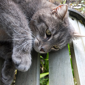  On the garden bench. 