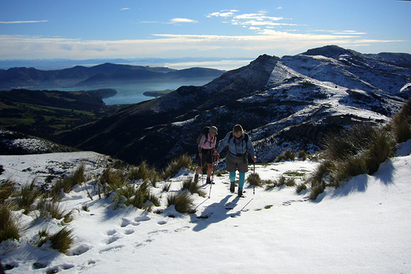  Lyttleton Harbour is in the background. 