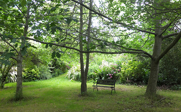  A view from the cottage verandah. 