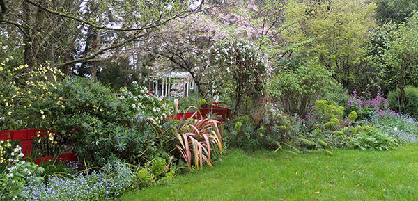  Fluffy and beautiful - blossom and flowers. 