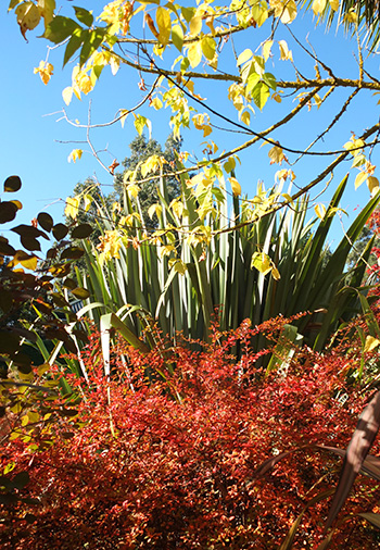  Enjoy the blue, blue sky! 