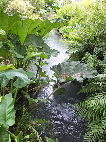  Running water right through my garden. 