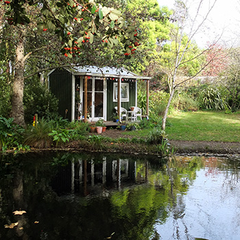  By the pond! 