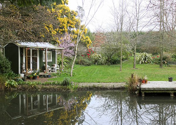  Blossom, red rhododendrons, and Phormiums. 