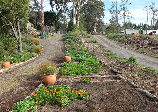  Ready for planting? Hope so... 