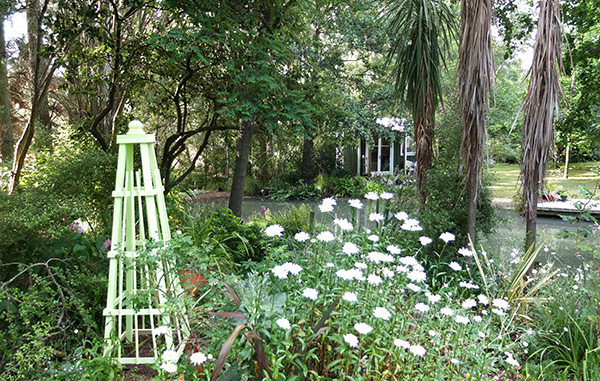  Shasta daisies, and the new obelisk. 