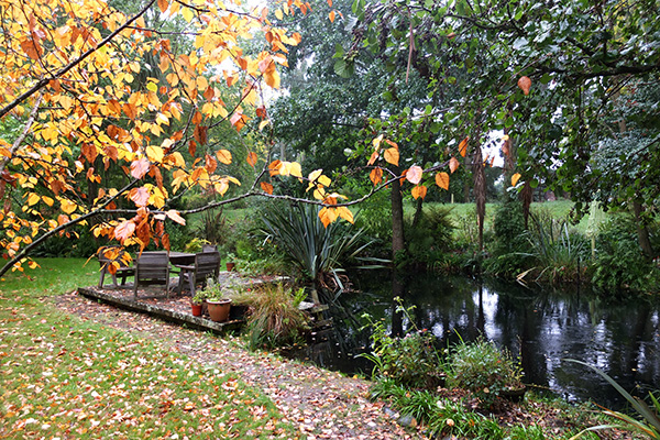  Taken from the verandah of the cottage. 