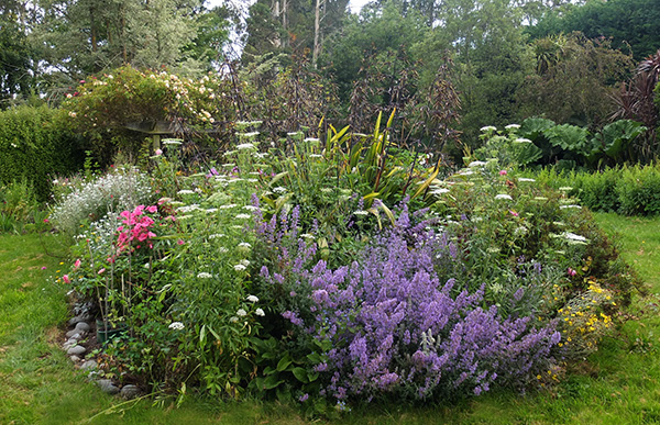  A delightfully messy garden border. 