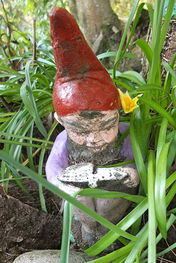  Gnome reading by the pond. 