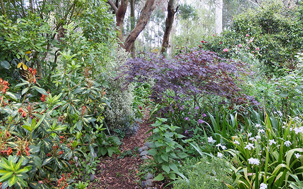  Foliage shrubs and plants near the little stream. 