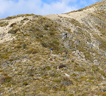  Spot the blue-shirted gardener! 