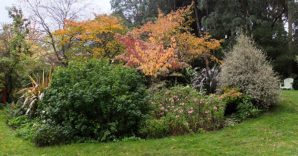  Beautiful autumn colours. 