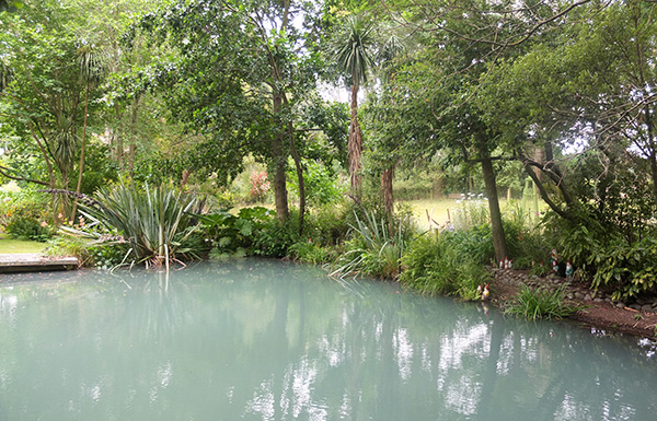  The irrigation water gets pumped from here. 