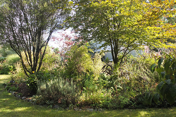  Lots of shady trees. 