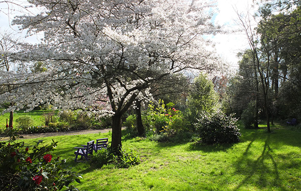  A lovely place in spring. 