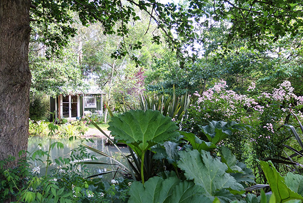  Wirh Gunnera and Ballerina roses. 