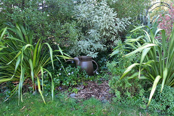  Snug in the Shrubbery. 