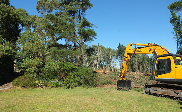  Lots of new garden area for me to plant in... 