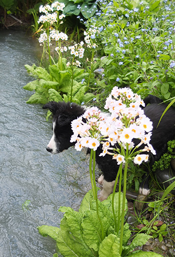  But she is still a bit scared to go swimming. 