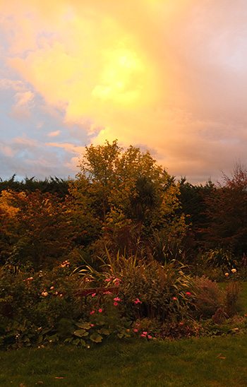  Beautiful early morning colour. 