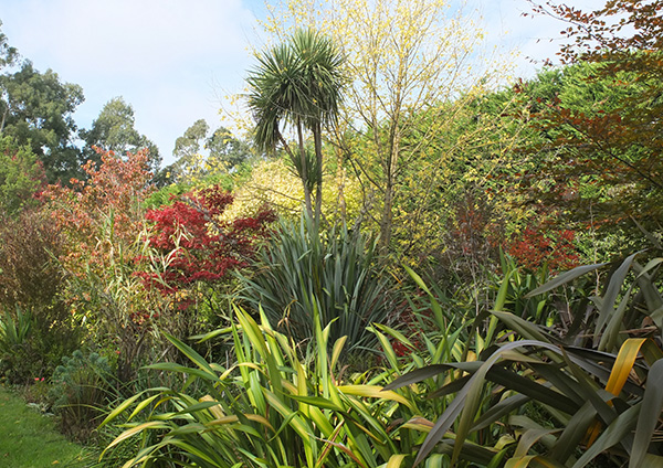  A pretty mix of autumn colours. 