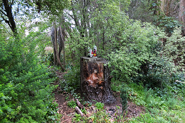  On their tree stump. 