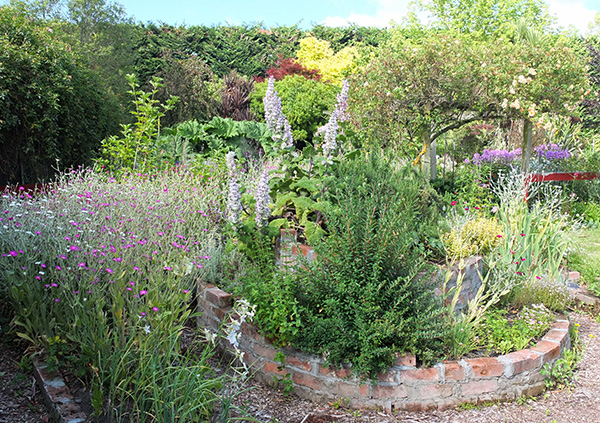  The big flowering bracts are Clary Sage. 