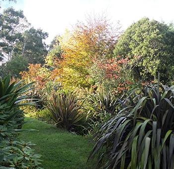  The trees starting to change colour. 