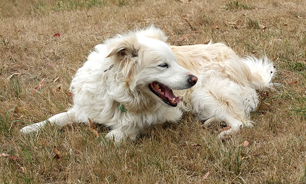  On the dry Frisbee Lawn. 