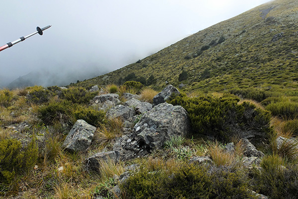  Mount Oxford summit, twenty minutes away 