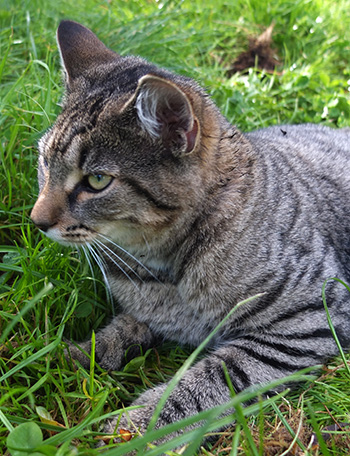  She loves being outside. 