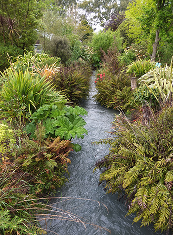  The Willow Tree Garden is on the left. 