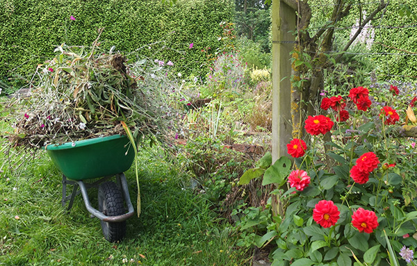  By the red dahlias. 