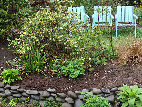  A pale lemon. Check out the infilled little garden, with new stone wall! 