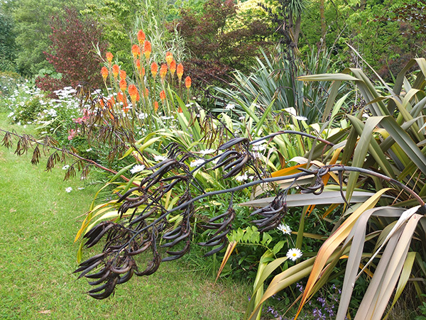  Plantings along the water race. 