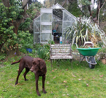  Helping with the gardening... 