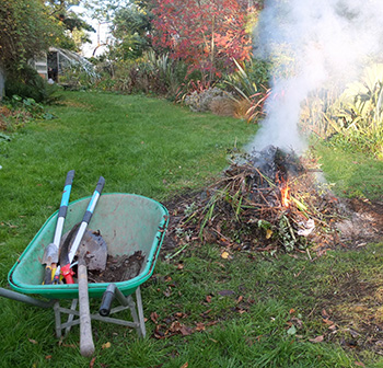  And trusty green wheelbarrow. 