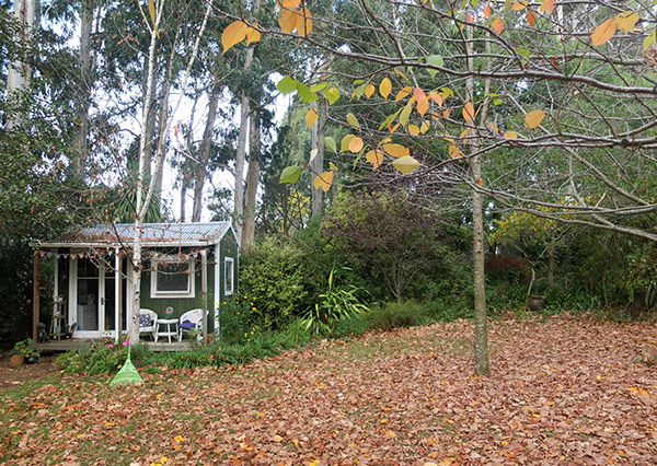 And to turn into leaf mould. And to turn into leaf mould.
