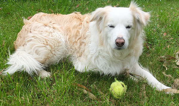  Just try and pick that ball up - no chance! 