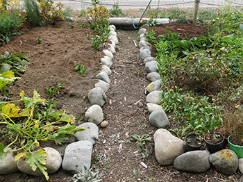  In the Allotment Garden. 