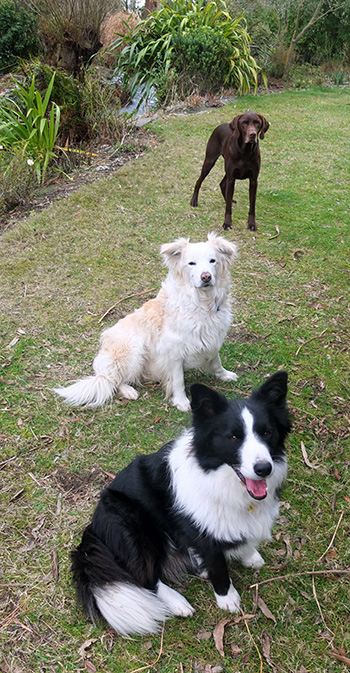  Winnie, Rusty, and Escher 