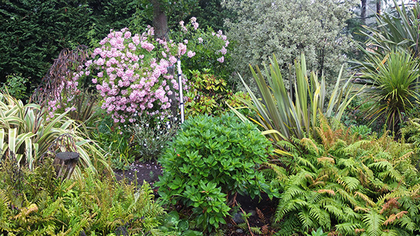  Roses and greenery. 