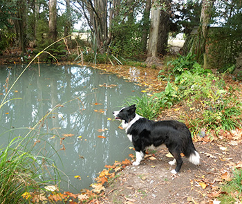  The water is getting colder. 