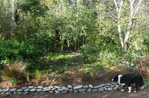  The corner of the Driveway Garden. 