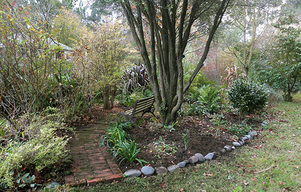  The Agapanthus are planted. 